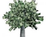 Money tree