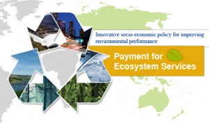 (Payments for Ecosystem Services green growth)