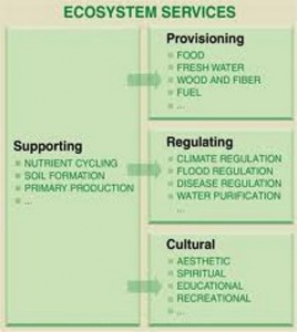 (Ecosystem Services table, Millennium Ecosystem Assessment Synthesis Report, 2005)