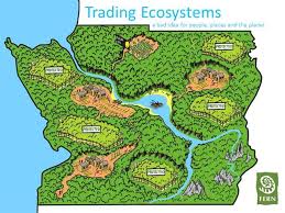 Trading ecosystems powerpoint presentation (FERN)