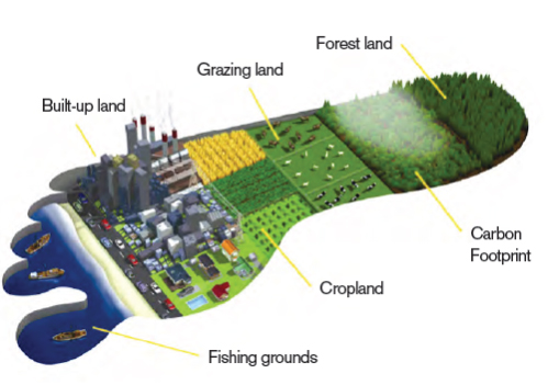 What is the personal carbon footprint in France?