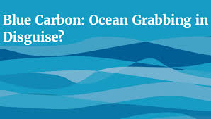 Blue carbon ocean grabbing (TNI)