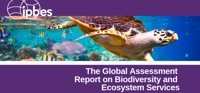 What Is A Global Assessment